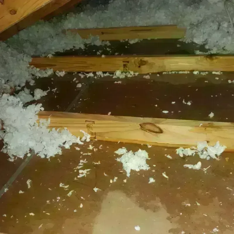 Attic Water Damage in Kiowa County, OK