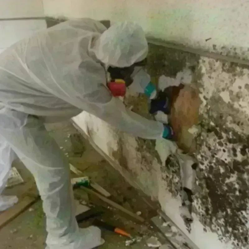 Mold Remediation and Removal in Kiowa County, OK