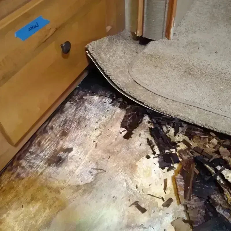 Best Wood Floor Water Damage Service in Kiowa County, OK